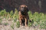 BRIARD 192